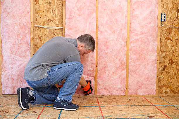 Types of Insulation We Offer in West Falls Church, VA
